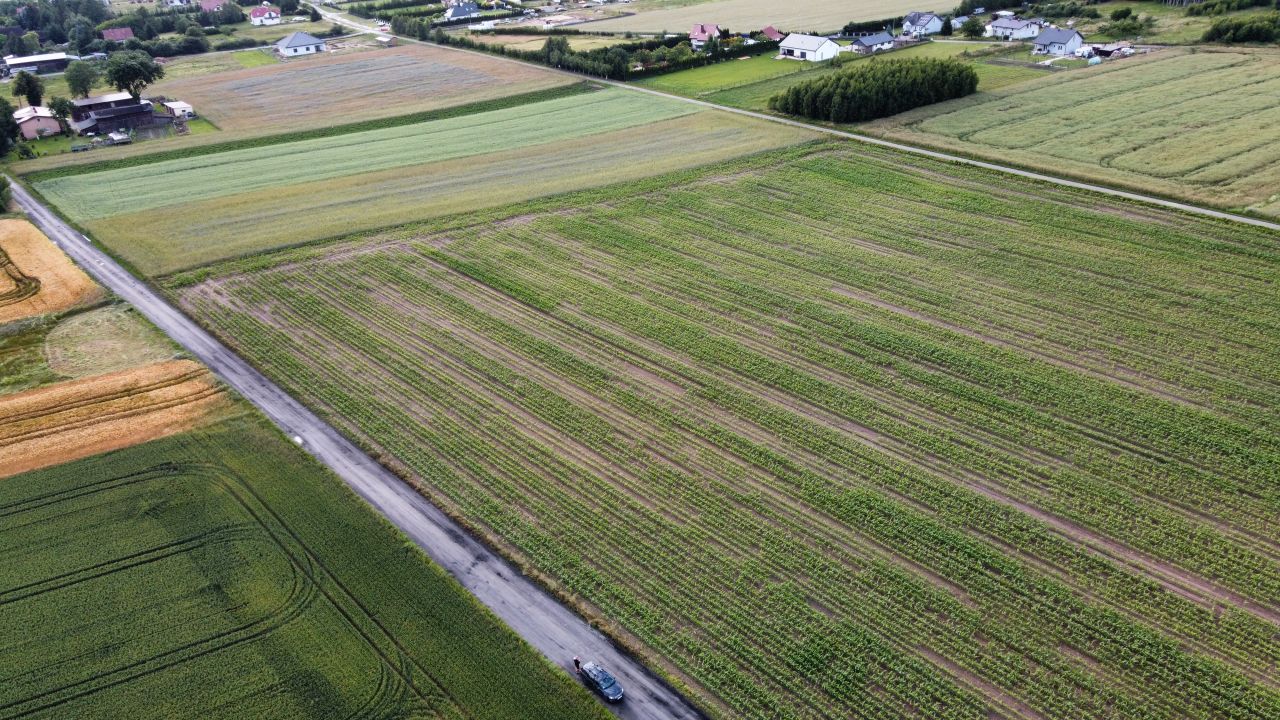 Działka rolno-budowlana Charzyno, ul. Zielona. Zdjęcie 6