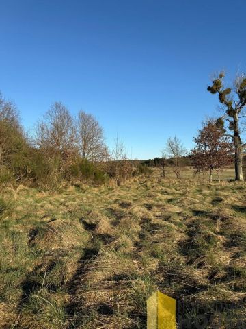 Działka rolna Gardna Wielka. Zdjęcie 3