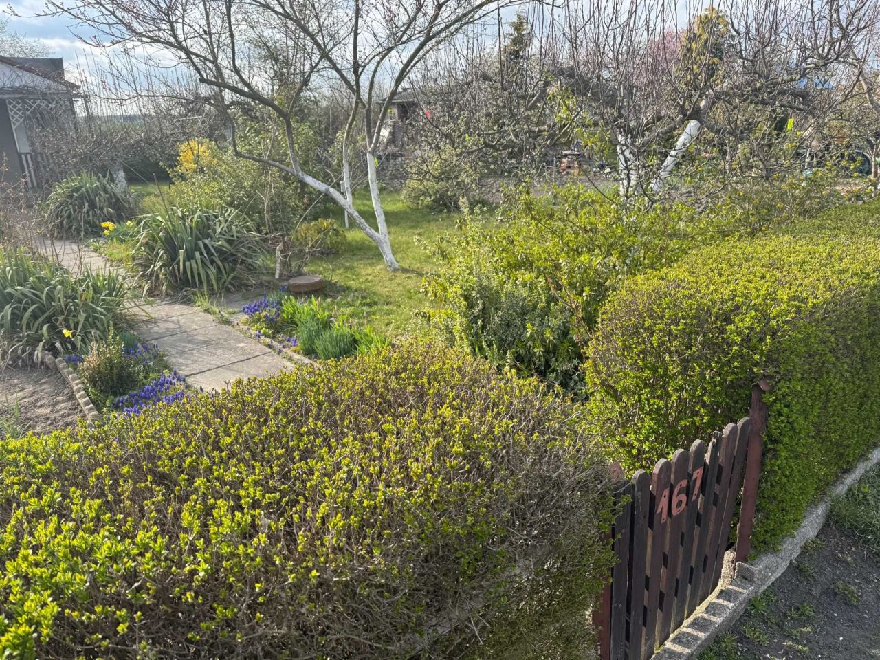 Działka rod Żary. Zdjęcie 8