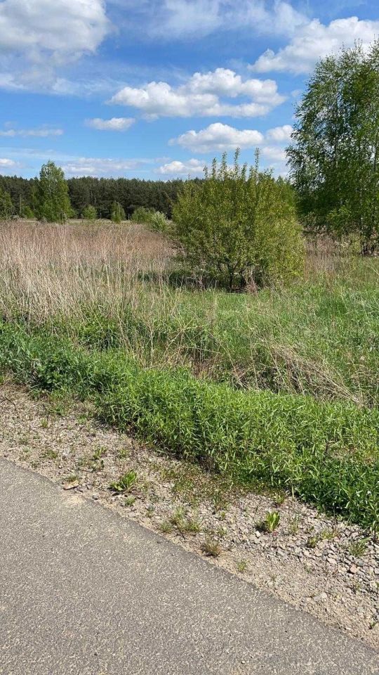 Działka inwestycyjna Rudno. Zdjęcie 6