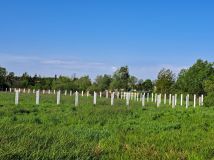 Działka budowlana Piwoda Hutki. Zdjęcie 2