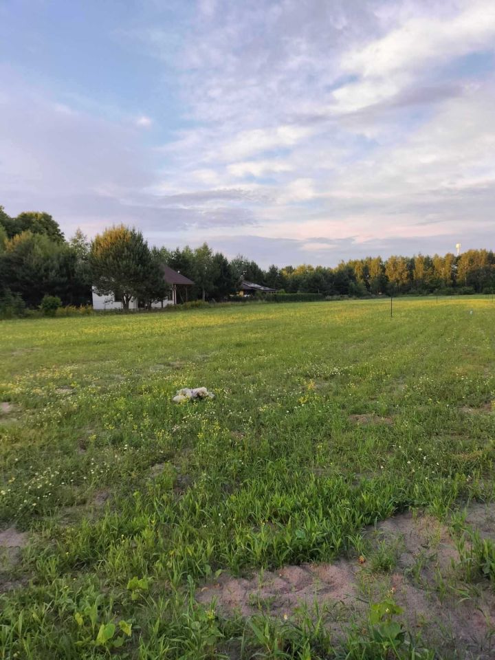 Działka rekreacyjna Grabniak. Zdjęcie 4