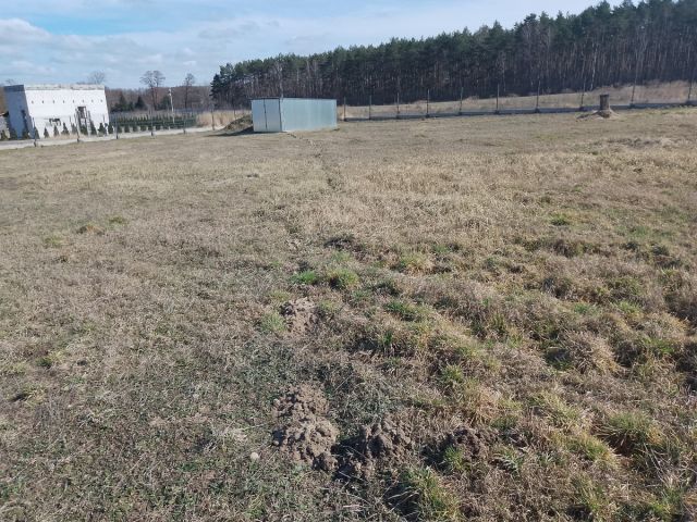 Działka rolno-budowlana Huta Bardzyńska. Zdjęcie 1