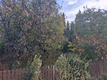 Działka rod Kalisz. Zdjęcie 4