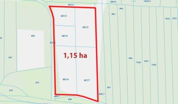 Działka inwestycyjna Wola Filipowska