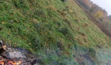 Działka rekreacyjna Karnice