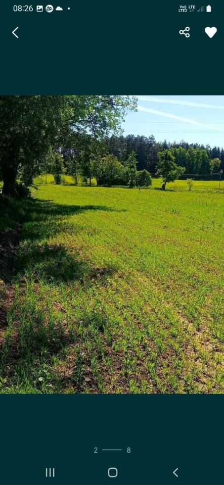 Działka rolna Karłowo. Zdjęcie 7