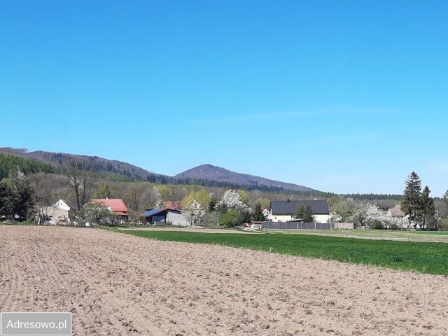 Działka budowlana Jemna. Zdjęcie 1