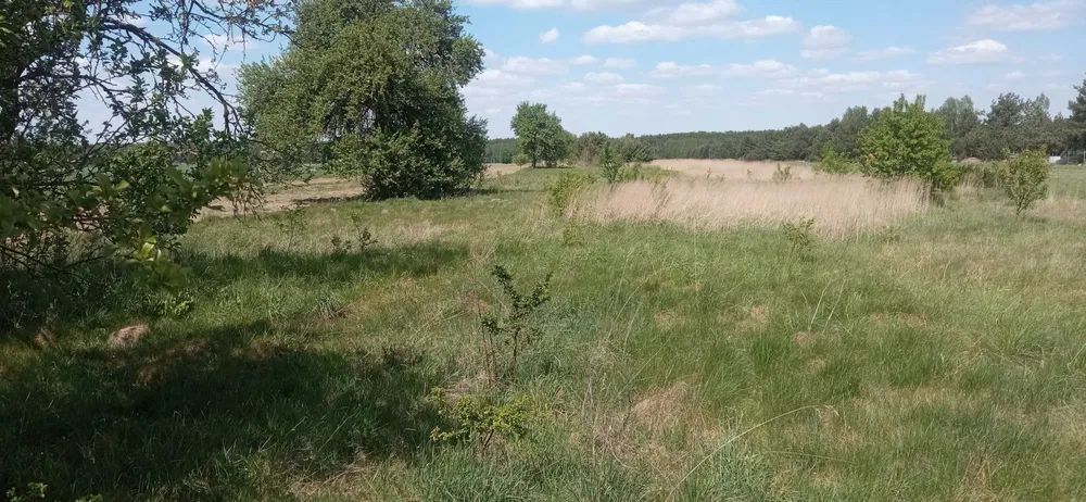 Działka rolno-budowlana Tychów Nowy. Zdjęcie 5