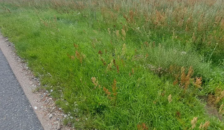 Działka rolna Skórzno