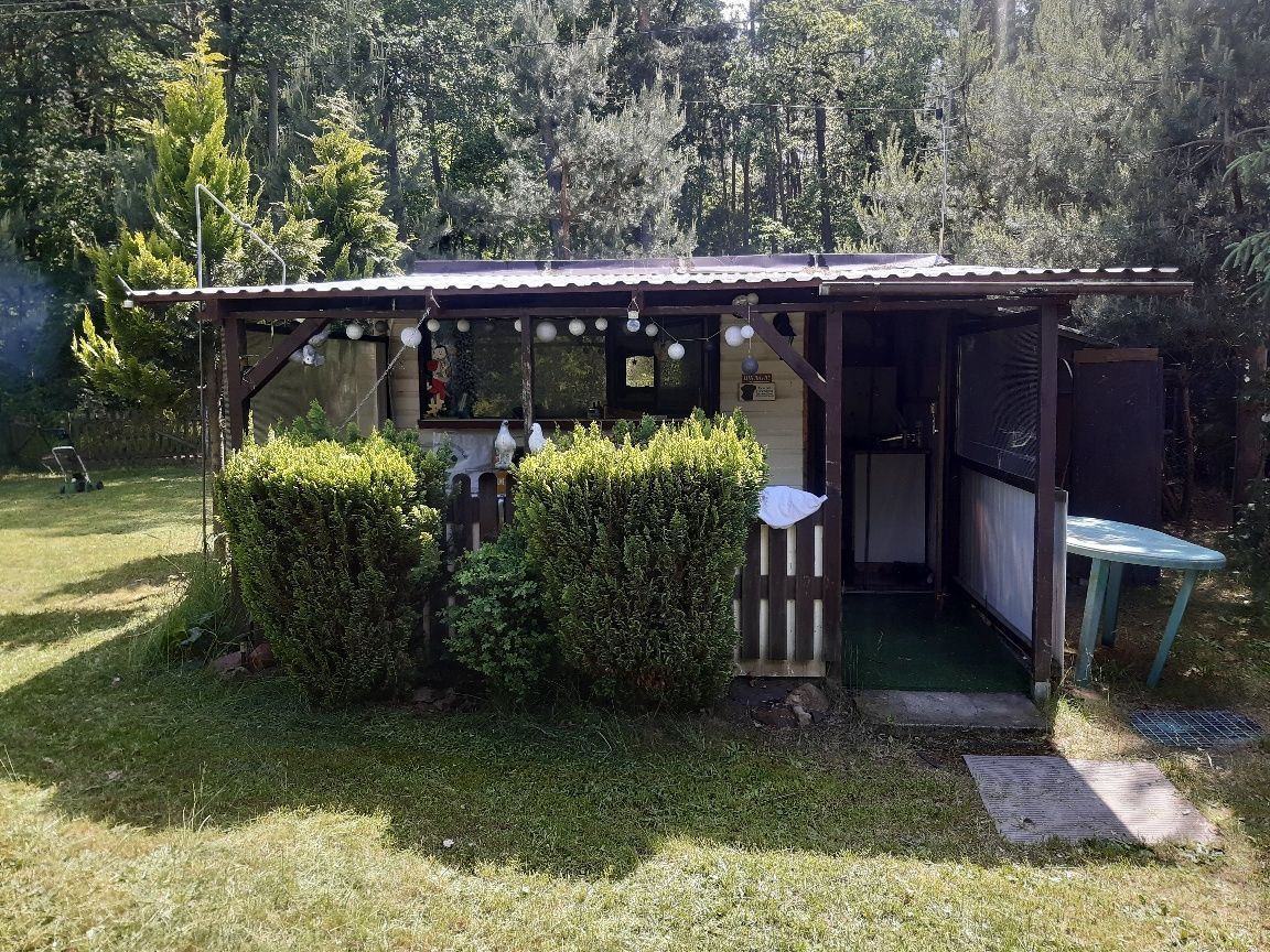 Działka rekreacyjna Zborowskie Brzegi. Zdjęcie 1