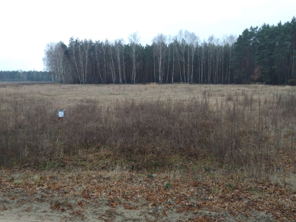 Działka Budy Lucieńskie. Zdjęcie 5