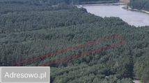Działka leśna Ostrowy nad Okszą, ul. Zadworna. Zdjęcie 2