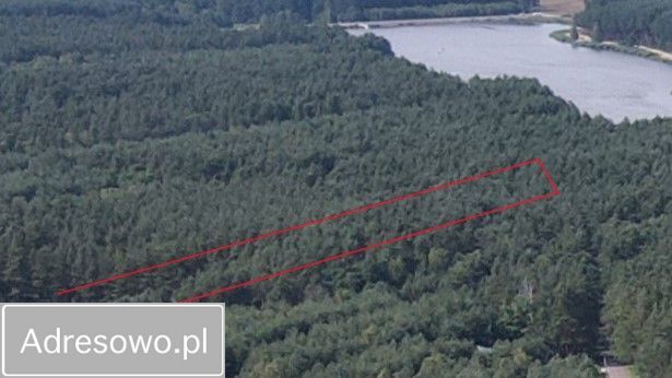 Działka leśna Ostrowy nad Okszą, ul. Zadworna. Zdjęcie 3