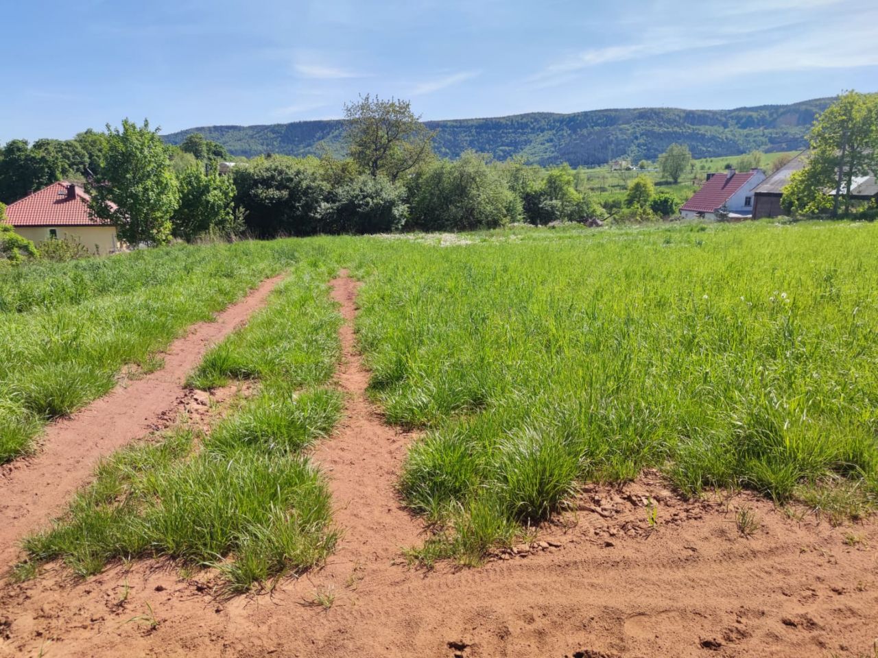 Działka budowlana Radków, ul. Górska. Zdjęcie 4