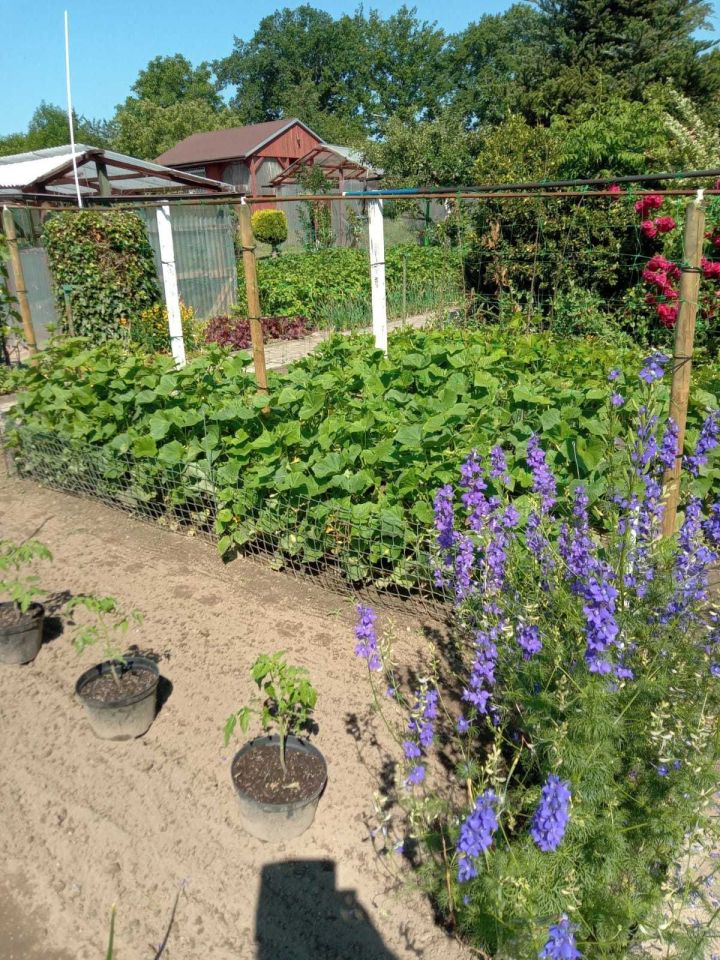 Działka rod Gubin, ul. Kresowa. Zdjęcie 6