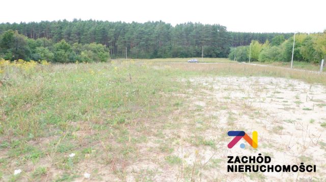 Działka budowlana Przytok. Zdjęcie 1