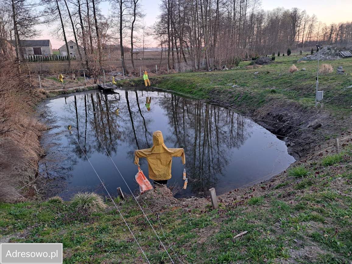 dom wolnostojący, 3 pokoje Bodzanów, ul. Głowackiego. Zdjęcie 2