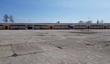 Hala/magazyn Radzyń Podlaski, ul. Budowlanych. Zdjęcie 1