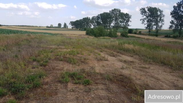 Działka budowlana Kramsk Kramsk-Łęgi, ul. Kolejowa. Zdjęcie 1