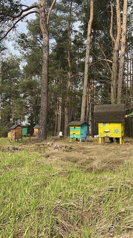 Działka rekreacyjna Golanka. Zdjęcie 7