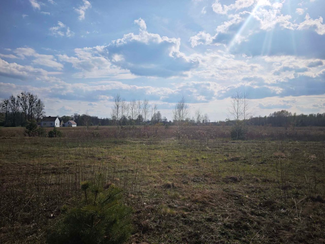 Działka rolno-budowlana Poręby Dymarskie. Zdjęcie 1
