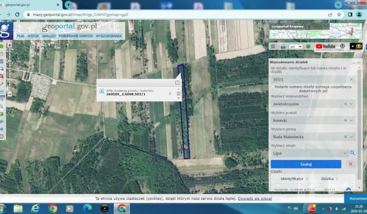 Działka leśna Lipa