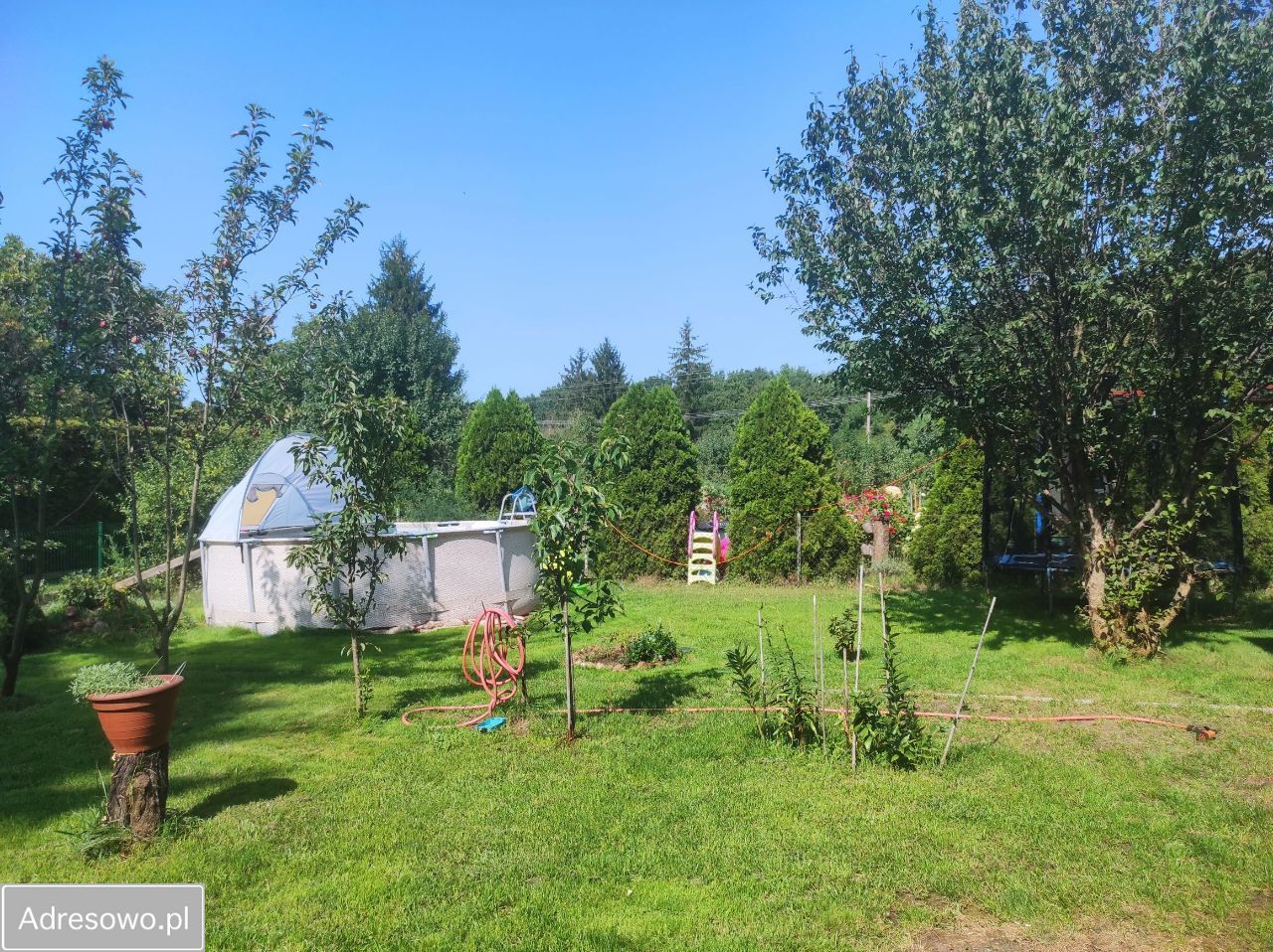 Działka rod Milanówek, ul. Turczynek. Zdjęcie 14