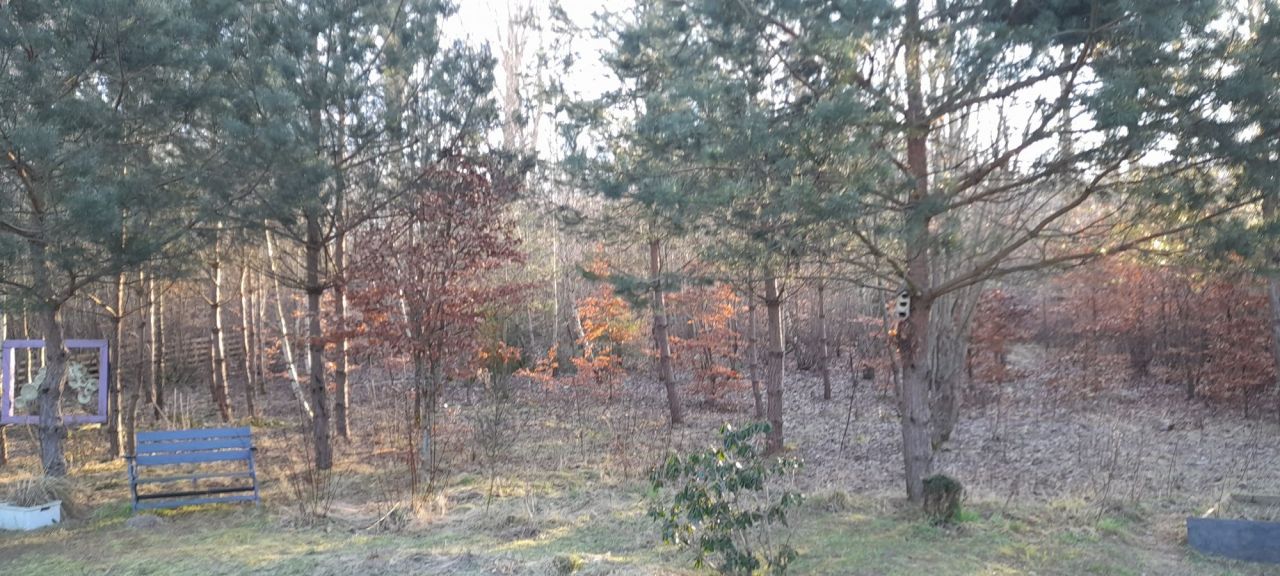 dom wolnostojący, 3 pokoje Sopieszyno, ul. Żurawia. Zdjęcie 8