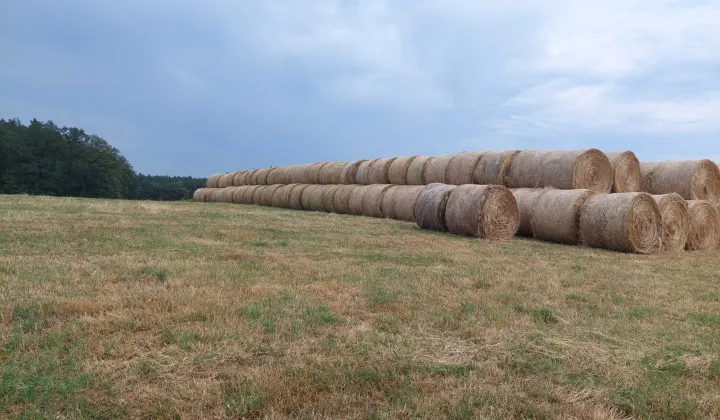 Działka rolna Witoszyn