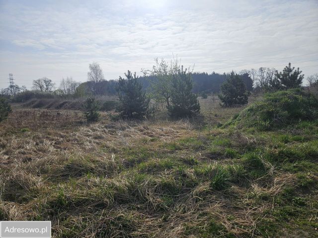 Działka budowlana Słubice, ul. Wschodnia. Zdjęcie 1