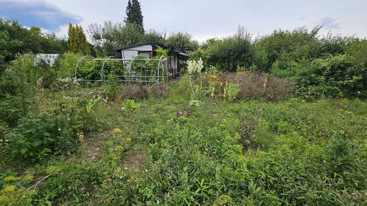 Działka rod Ostrowiec Świętokrzyski. Zdjęcie 7