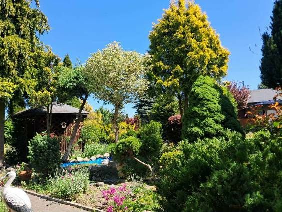 Działka rod Bydgoszcz Szwederowo. Zdjęcie 1