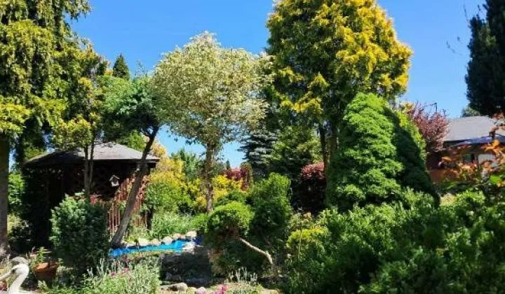 Działka rod Bydgoszcz Szwederowo