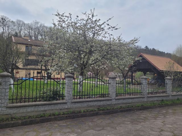 dom wolnostojący, 7 pokoi Frombork, ul. Elbląska. Zdjęcie 4