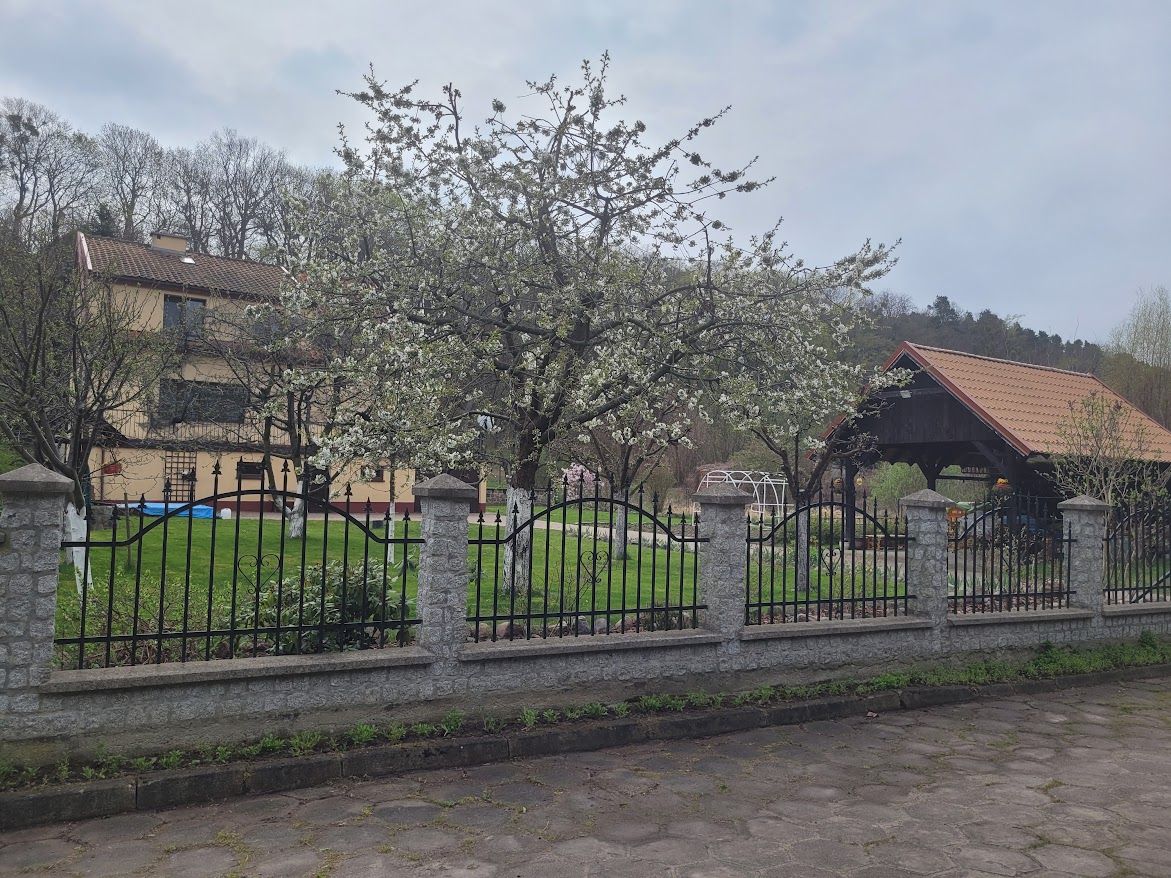 dom wolnostojący, 7 pokoi Frombork, ul. Elbląska. Zdjęcie 4