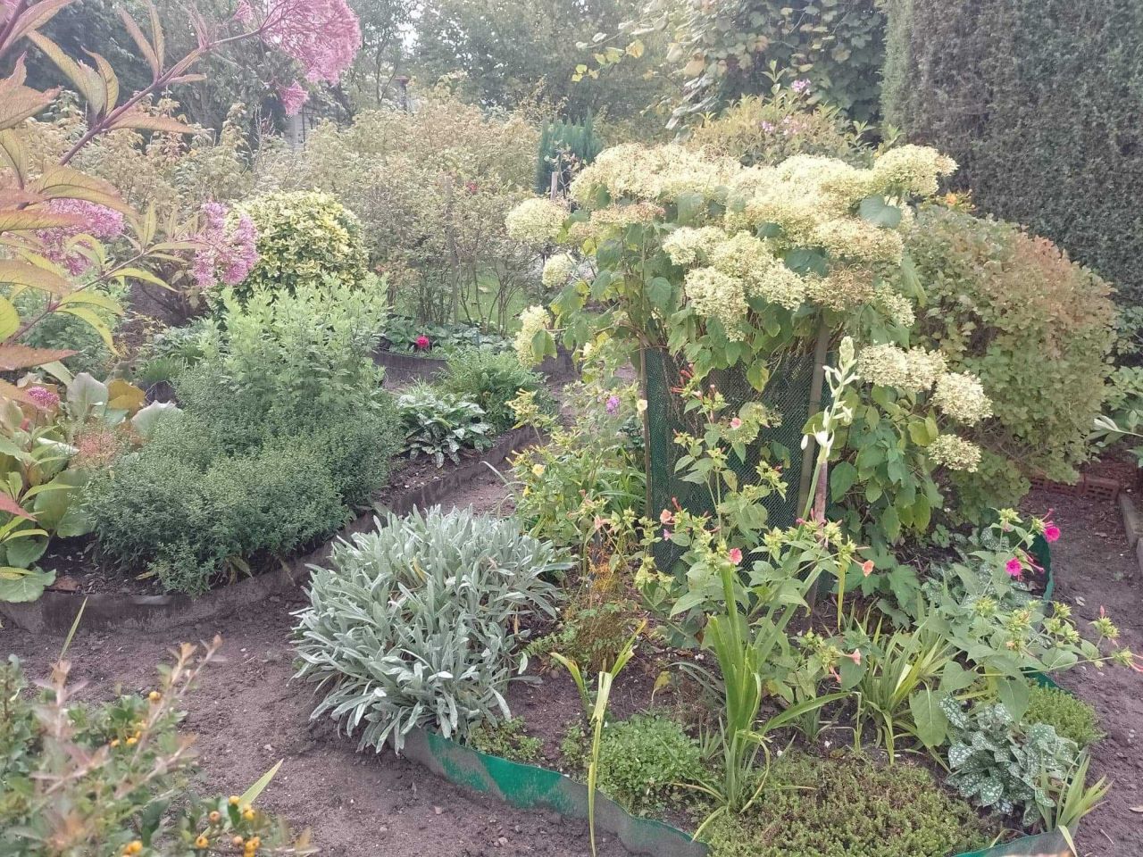 Działka rod Mokra Prawa. Zdjęcie 6