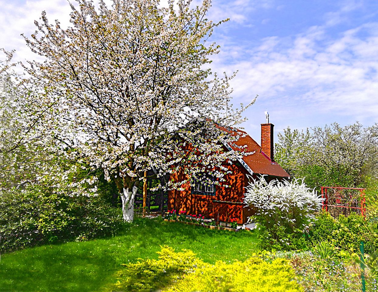 Działka rekreacyjna Chotomów, ul. Partyzantów