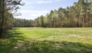 Działka budowlana Zalesna