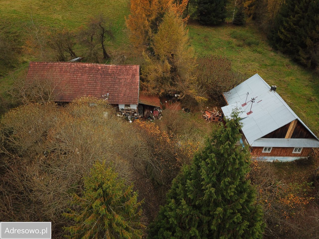 Działka siedliskowa Wojtkówka. Zdjęcie 7