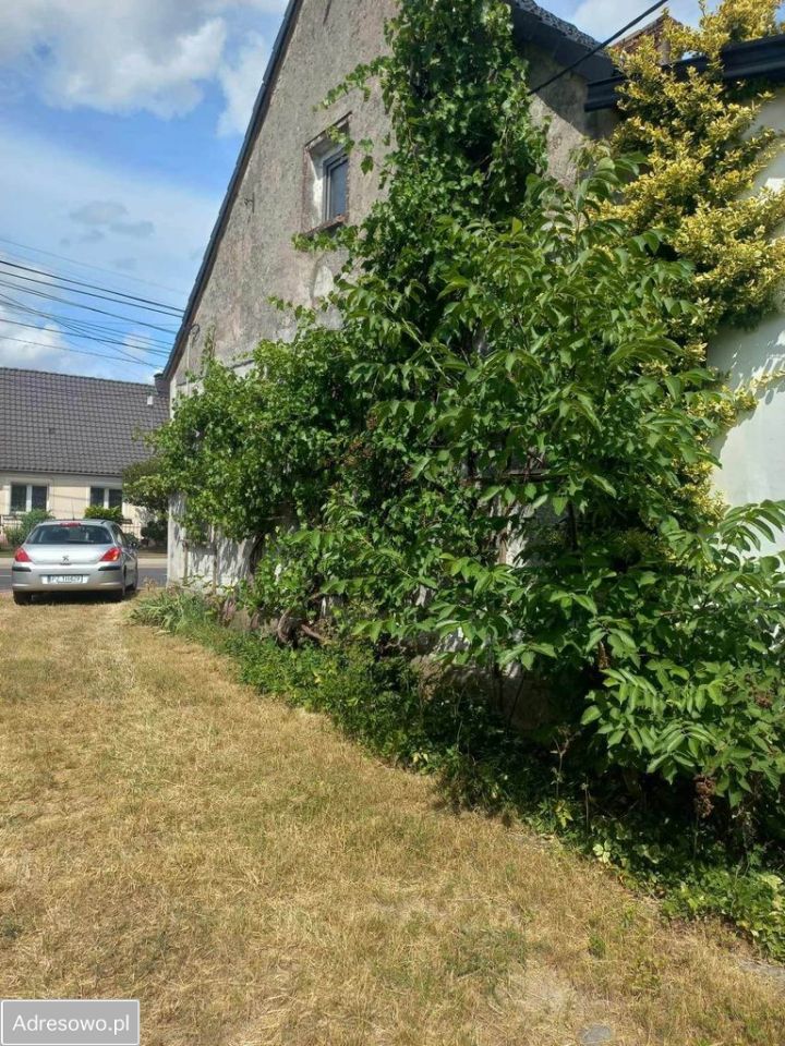 bliźniak, 2 pokoje Trzemeszno Lubuskie, ul. Poznańska. Zdjęcie 15