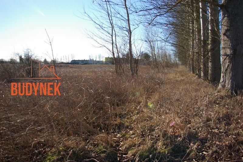 Działka inwestycyjna Cisowo. Zdjęcie 14