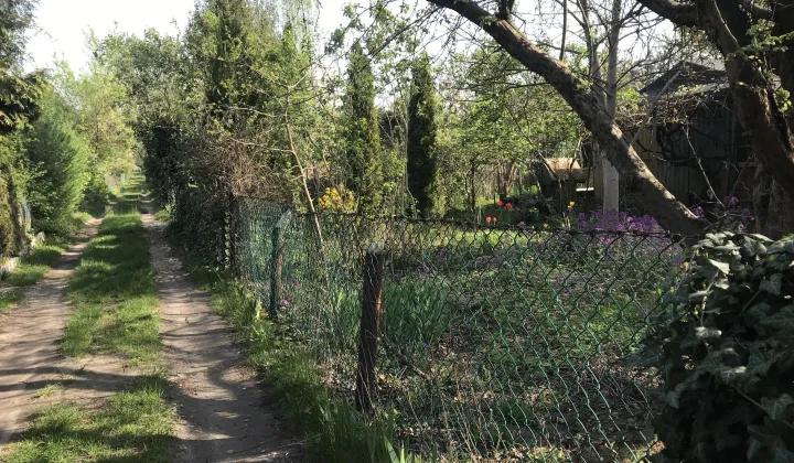 Działka rod Warszawa Włochy, ul. Ogrodników