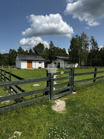 dom wolnostojący, 8 pokoi Koryciska. Zdjęcie 12