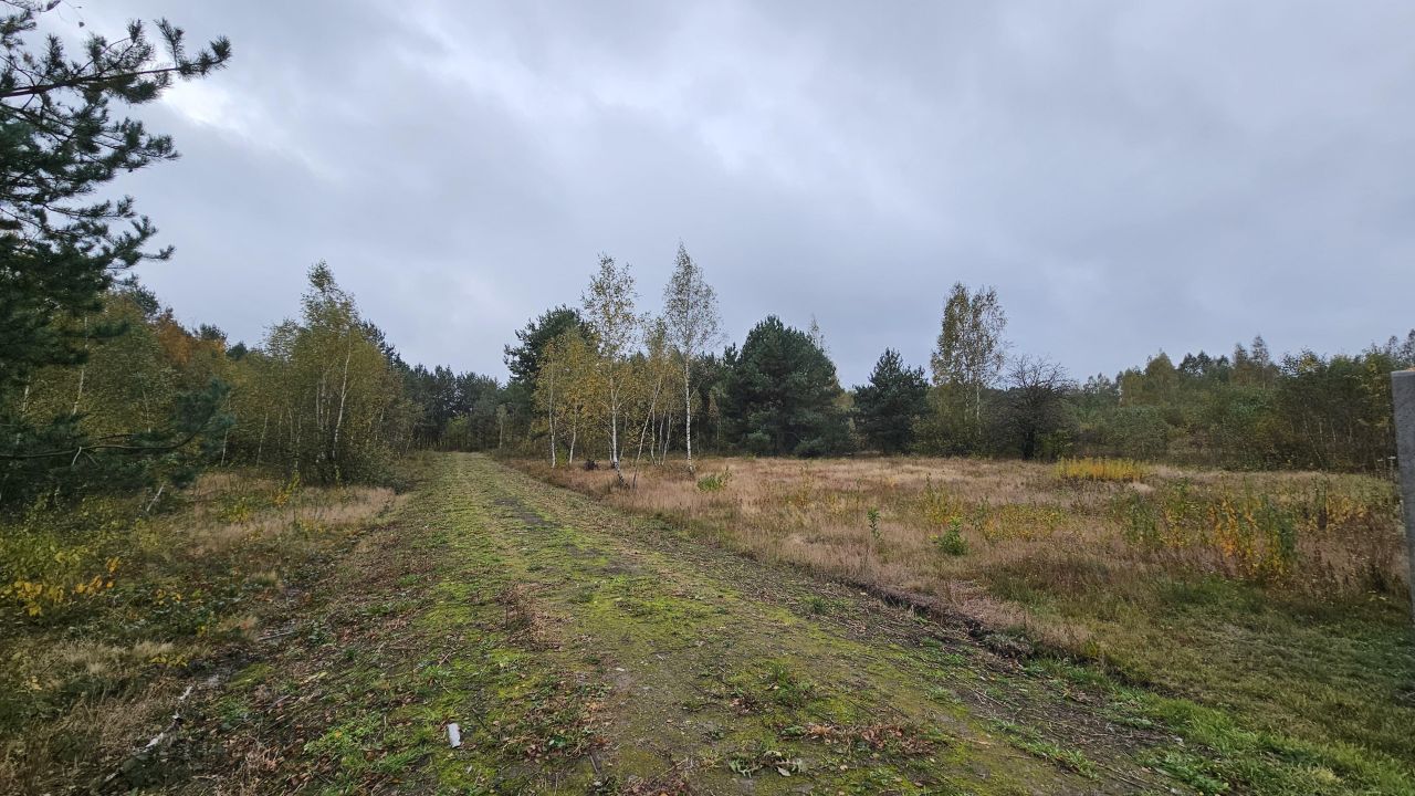 Działka budowlana Basinów, ul. Stołeczna. Zdjęcie 4