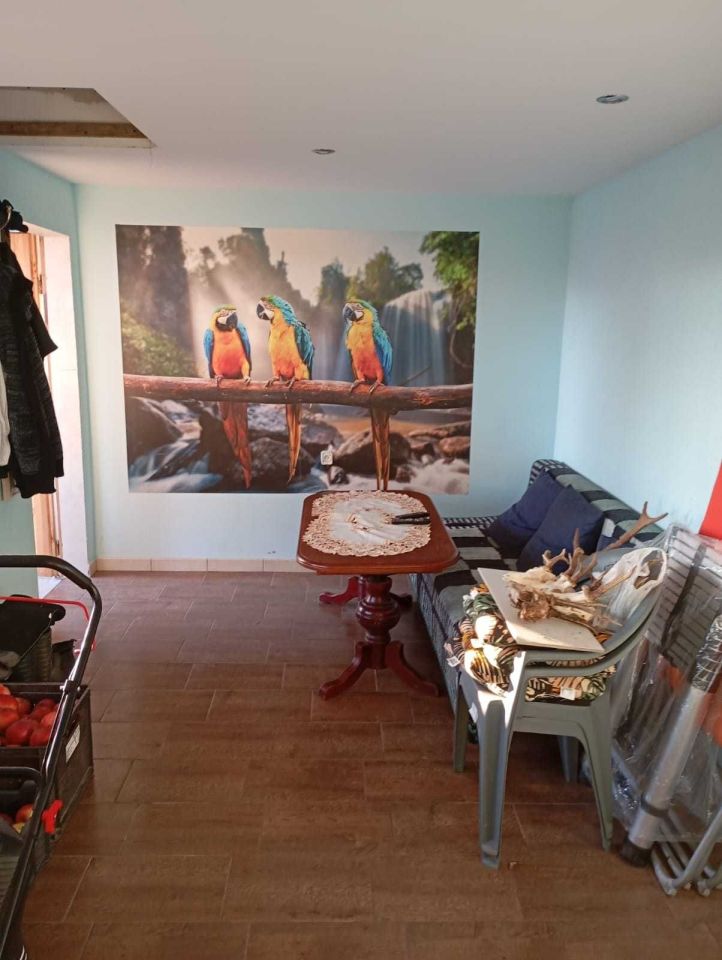 Działka rod Gryfino, ul. Jana Pawła II. Zdjęcie 6