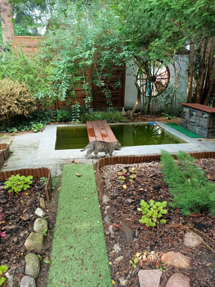 Działka rod Stargard, ul. Daleka. Zdjęcie 5