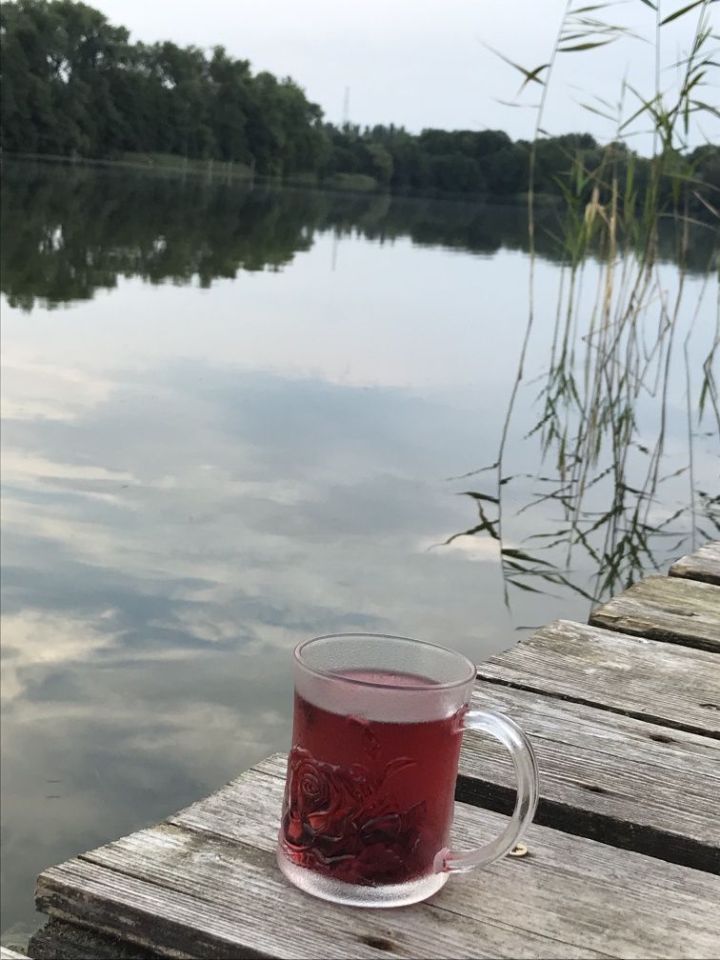 Działka rekreacyjna Wapnica. Zdjęcie 5