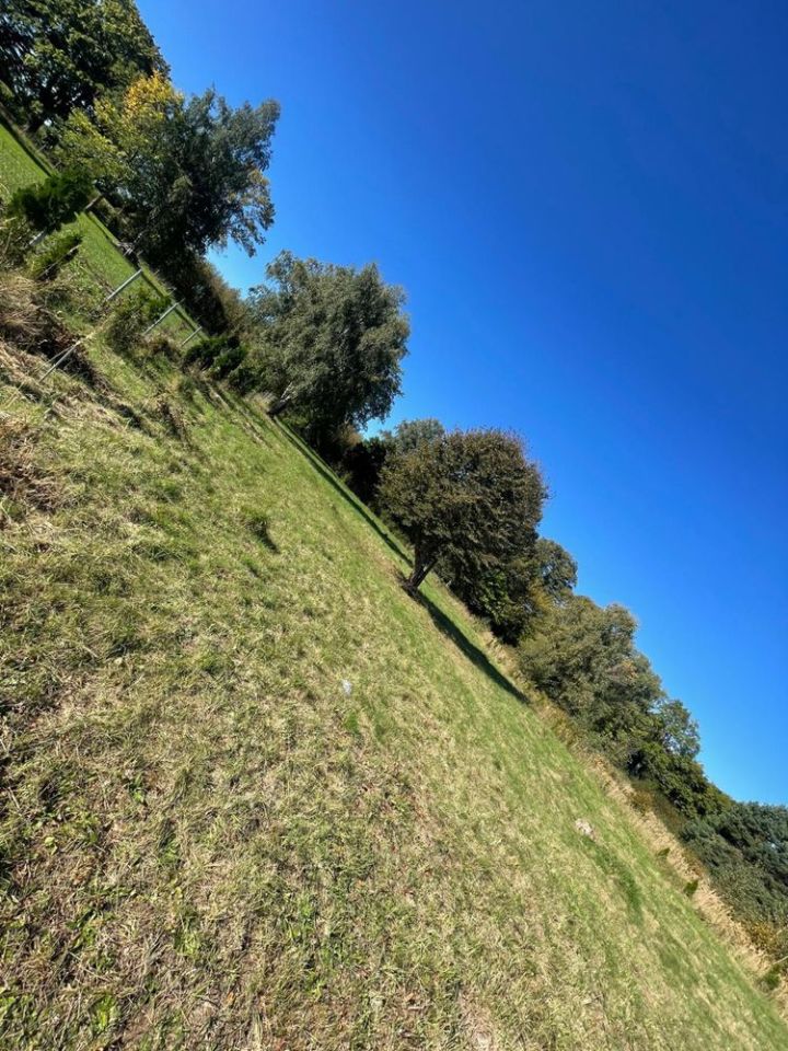 Działka budowlana Niewiastowo. Zdjęcie 6