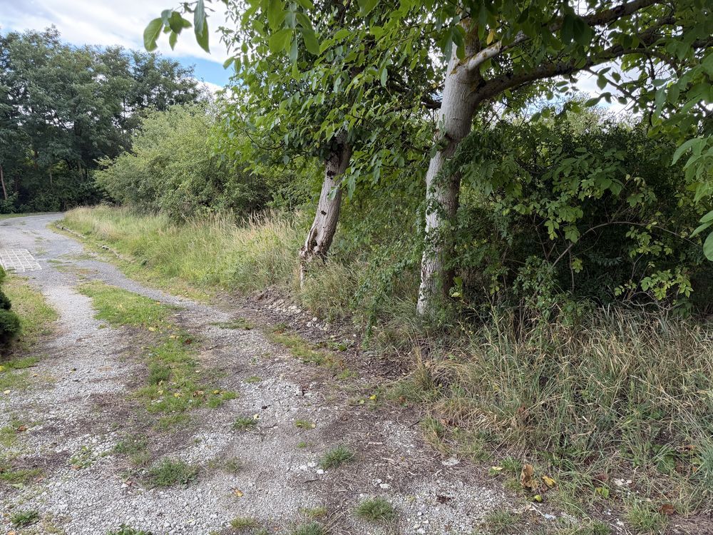 Działka budowlana Konopnica. Zdjęcie 8